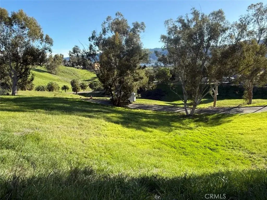 Kalina, Lake Elsinore