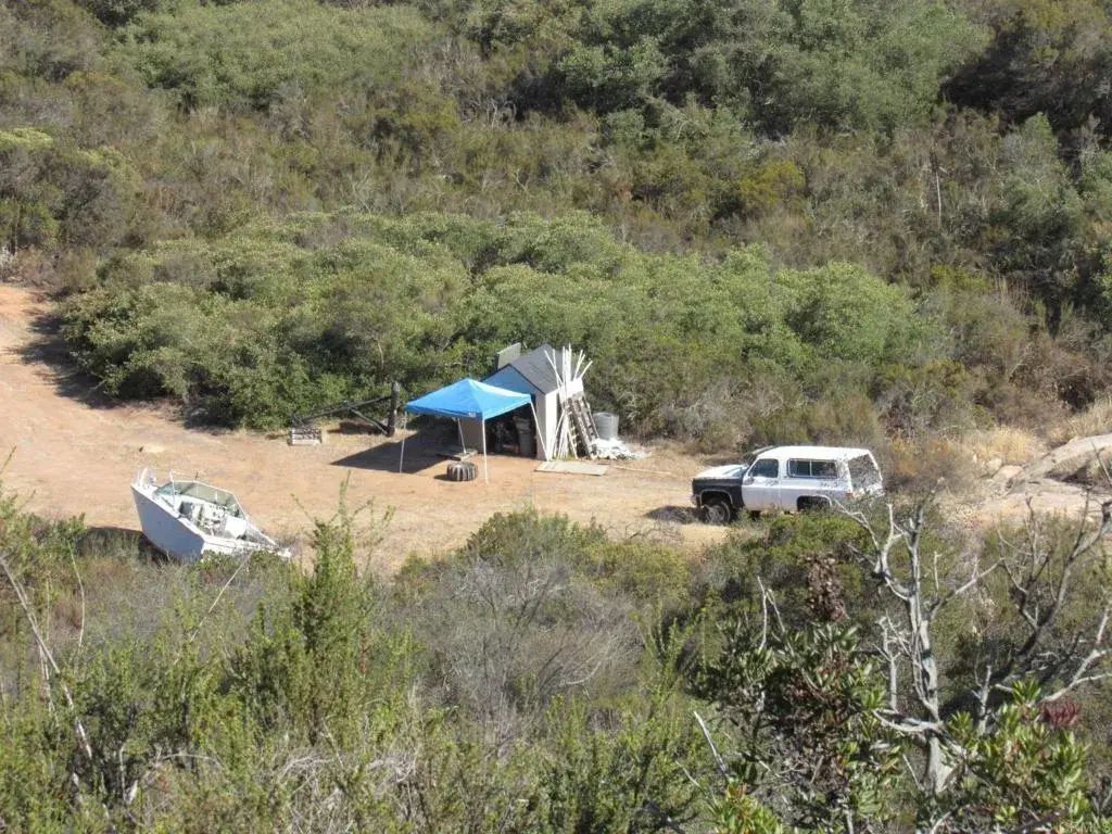 36 Leoney, Jamul