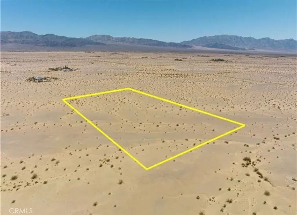 1234 Hollywood, 29 Palms
