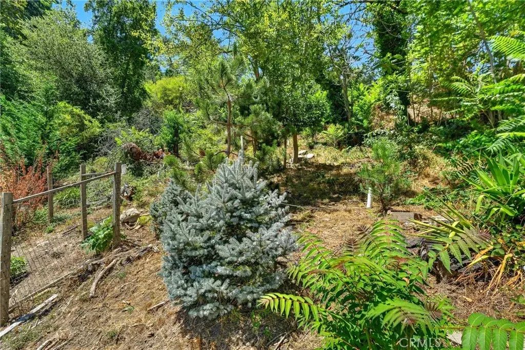 17940 Helen, Los Gatos