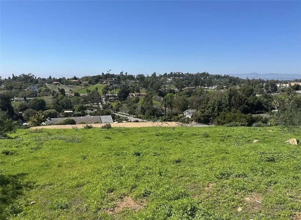 2234 Tierra Verde, Vista