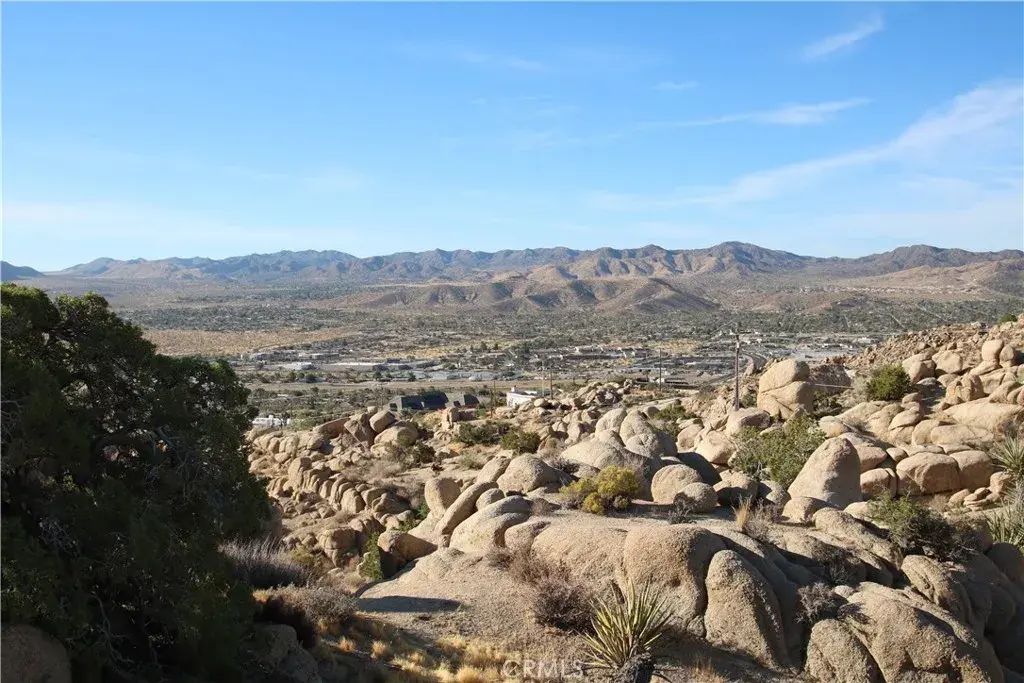 Mirlo, Yucca Valley