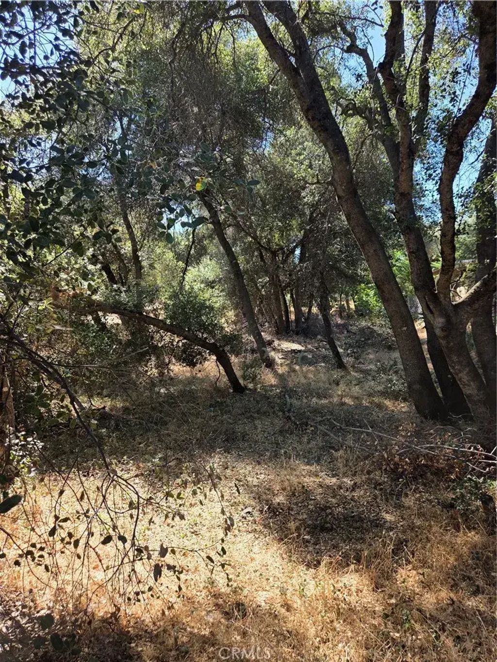 13692 Fair Oak, Clearlake