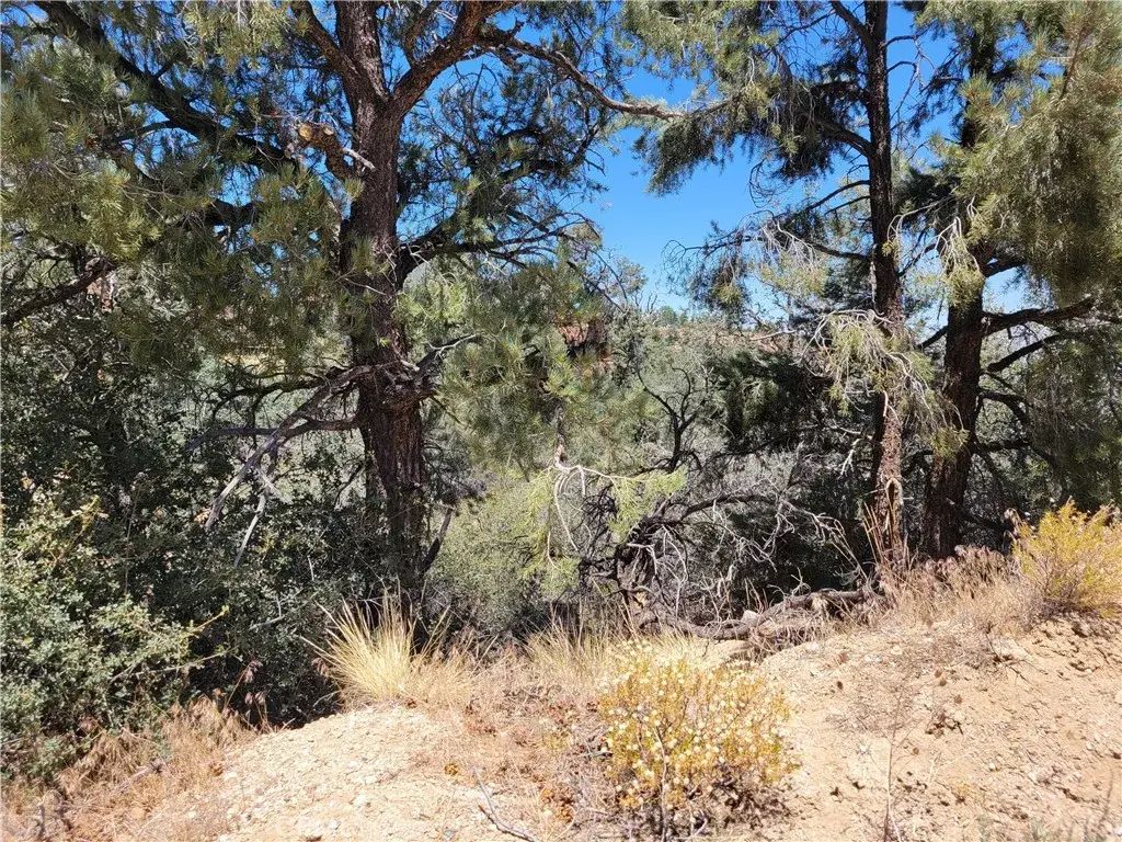 Old Oak Springs Valley, Wrightwood
