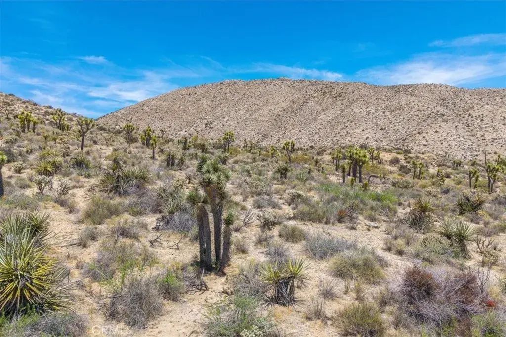 55652 Buena Vista, Yucca Valley