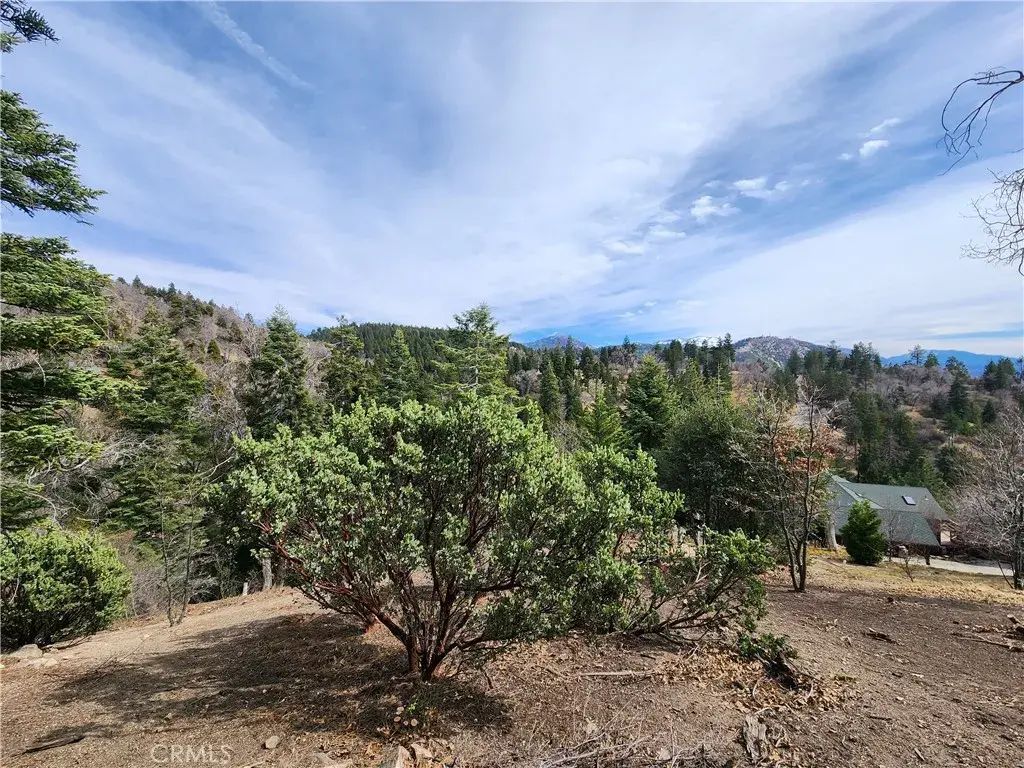 30914 Old City Creek, Running Springs
