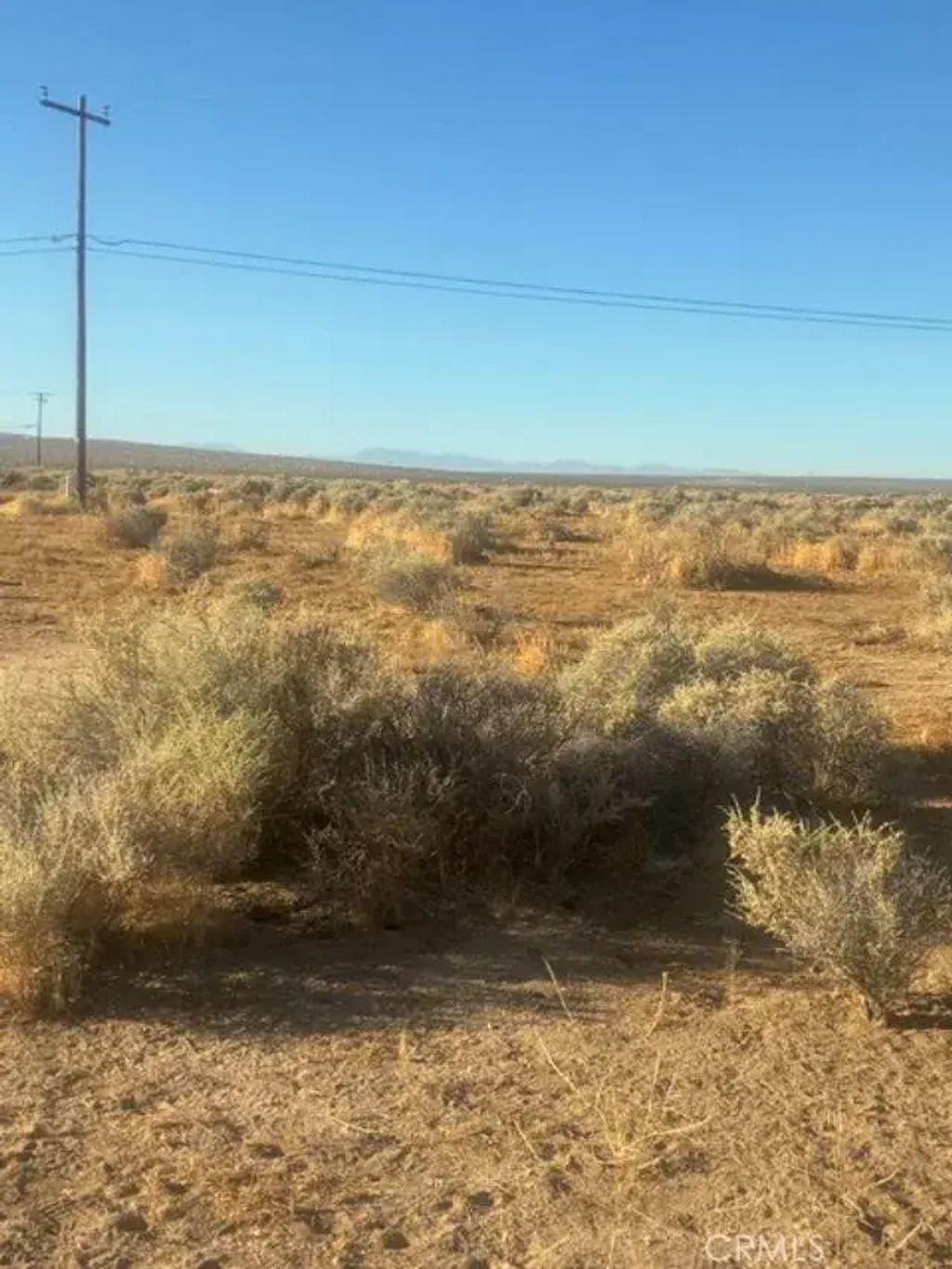 Evergreen, California City