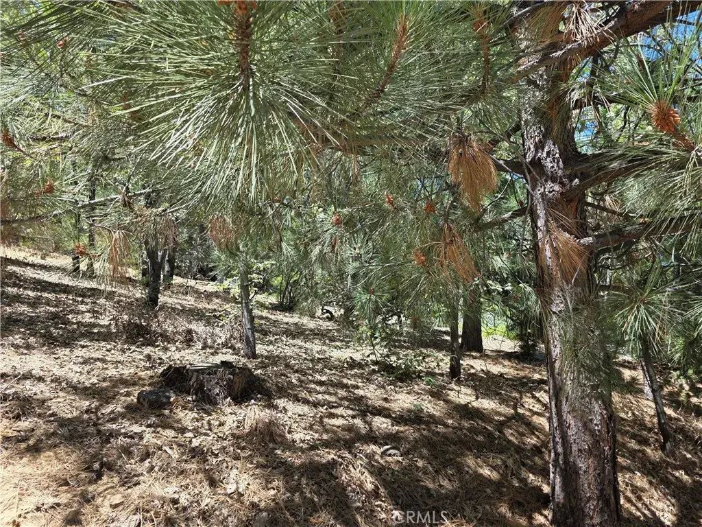 28276 Arbon, Lake Arrowhead