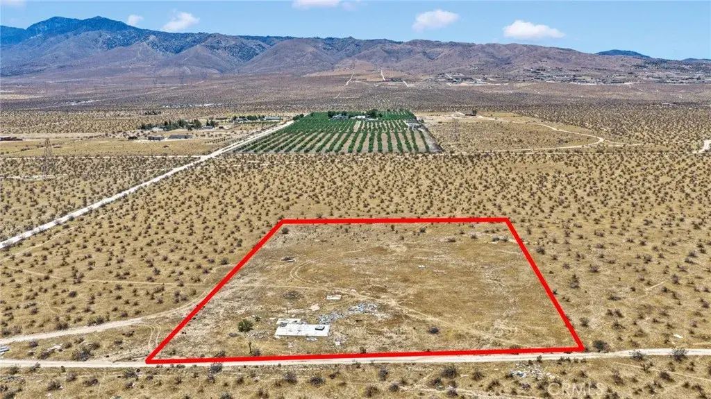 Lancelet, Apple Valley
