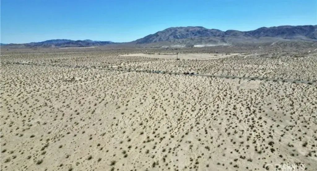 29 Palms, 29 Palms