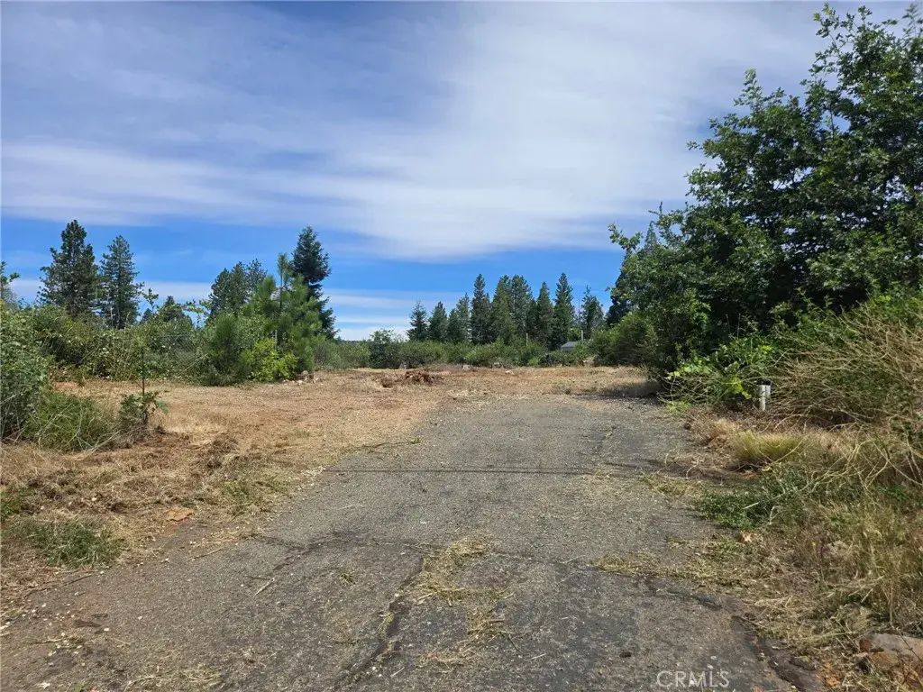 6177 Ponderosa, Magalia