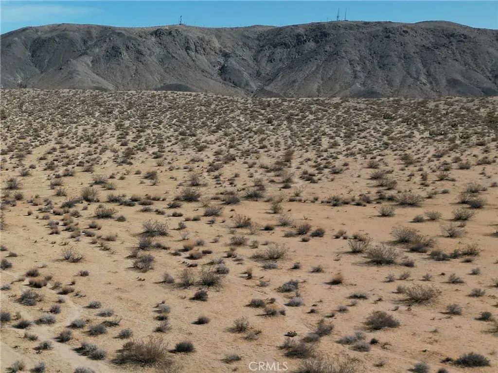 Rotary, Joshua Tree