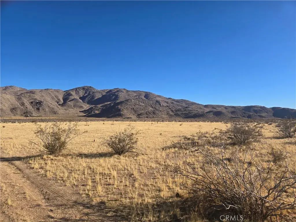 108900 Bellflower, Apple Valley