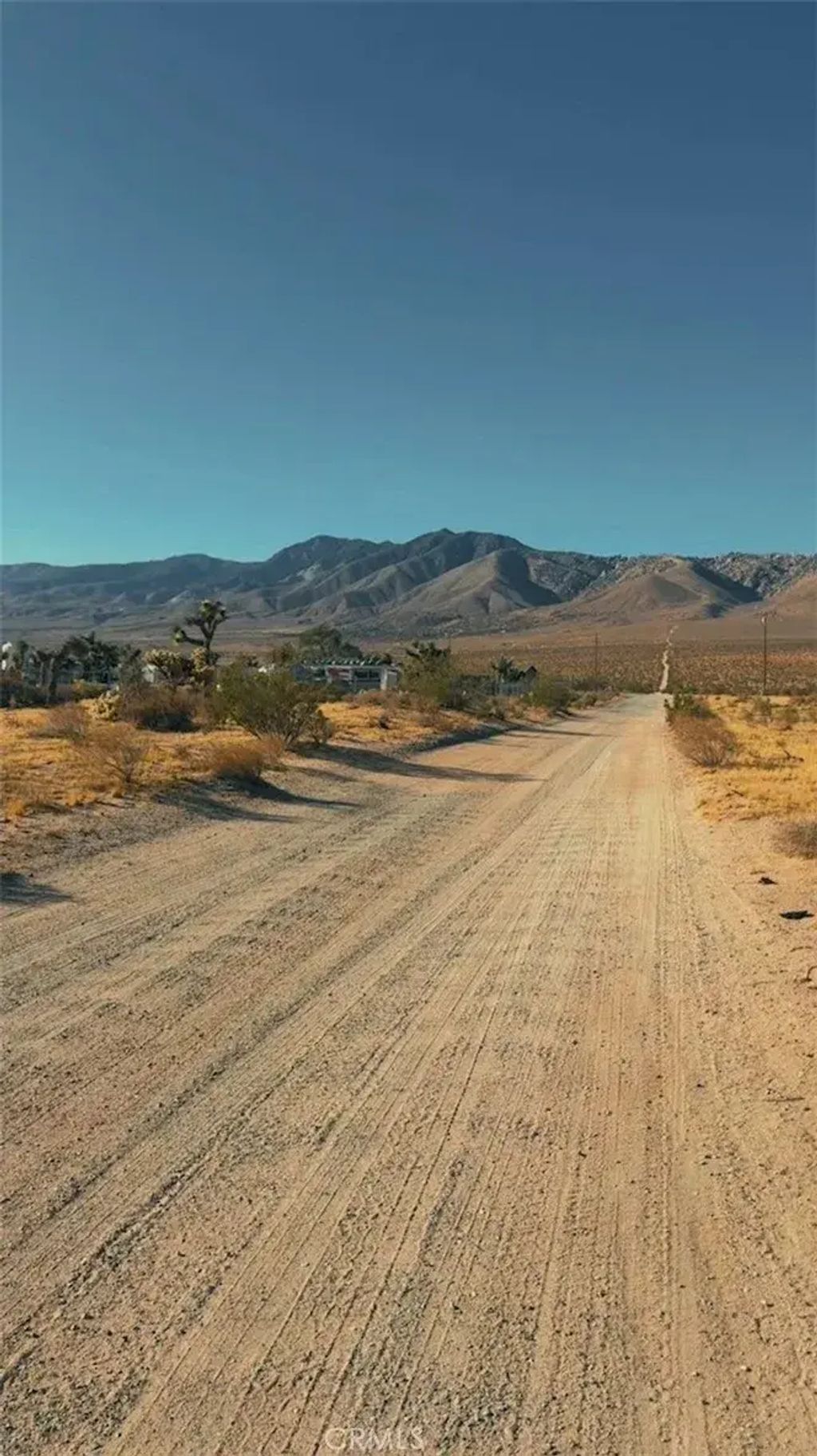1 Joshua, Lucerne Valley