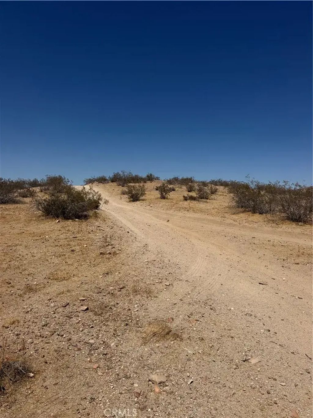 39 Leaping Lizard, Apple Valley