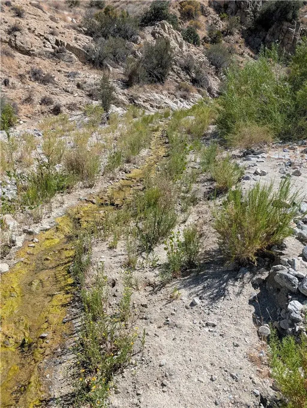 49170 Via Hacienda, Morongo Valley