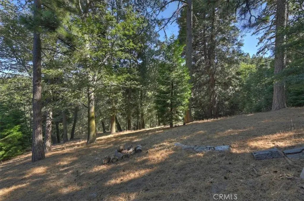 Pine, Cedarpines Park