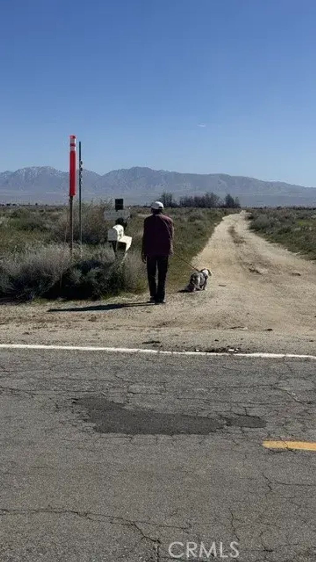 Vac/cor, Palmdale