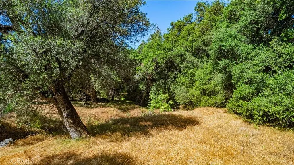 48 Lot Cryer, Banning