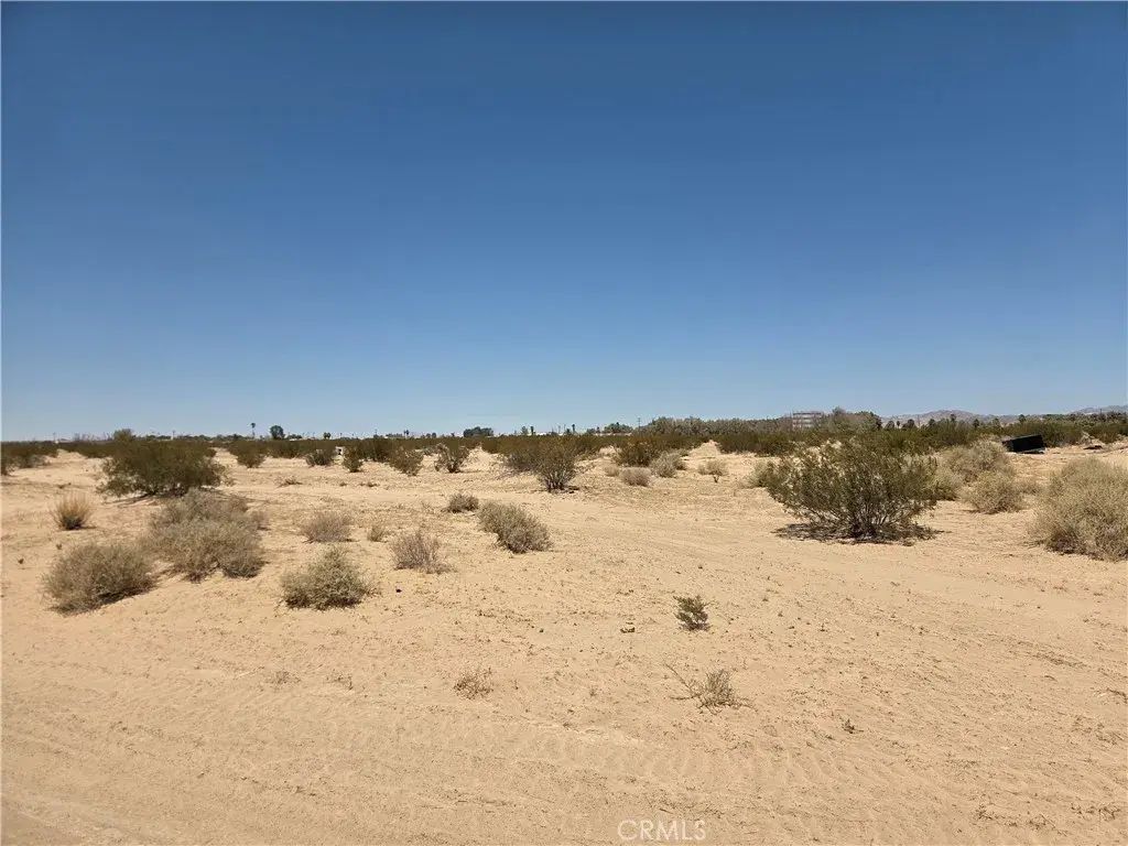 Amboy, 29 Palms