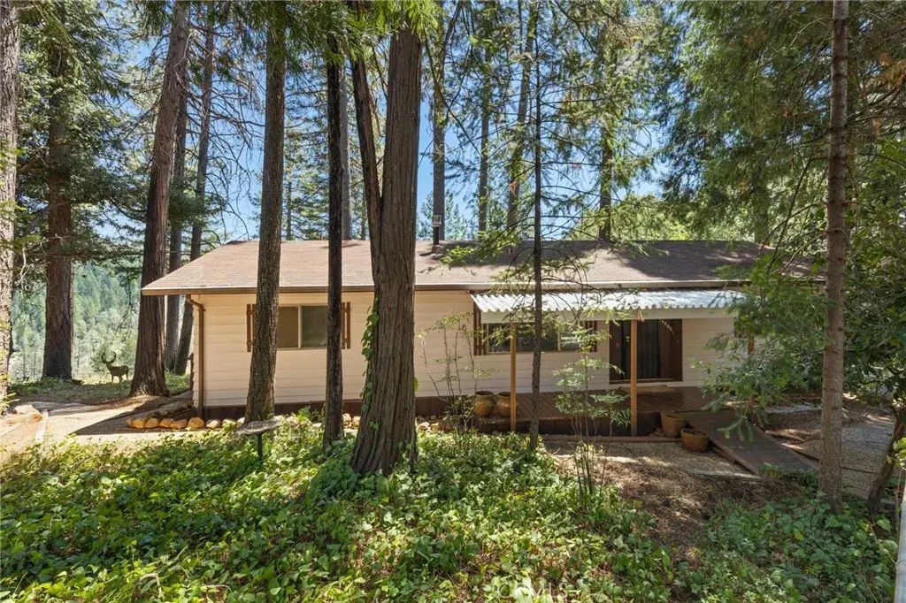 14808 Goldcone, Magalia
