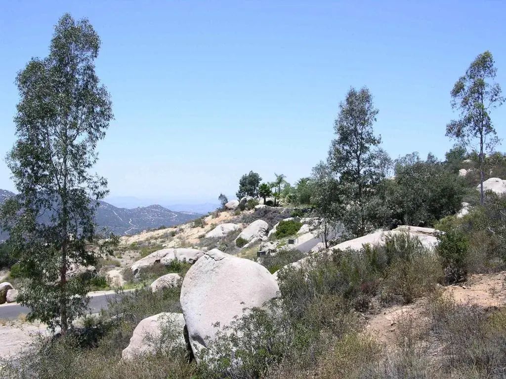 Welcome View, Escondido