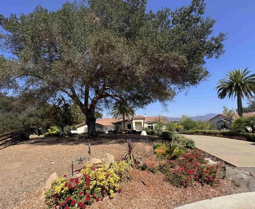1011 Jimlojan, Escondido