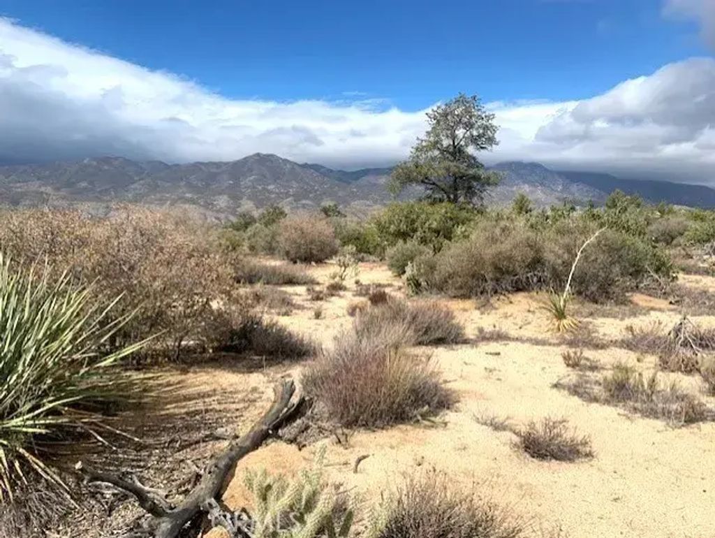 368 Palm Canyon, Mountain Center