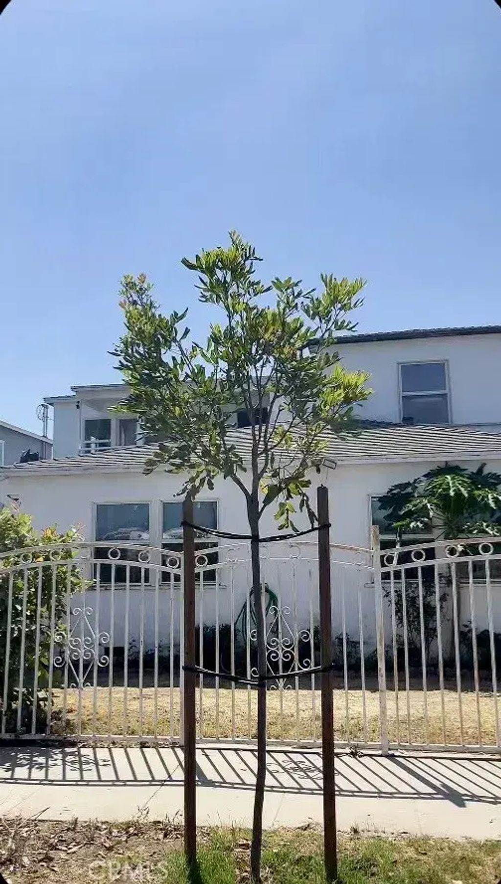 2220 Delaware C, Santa Monica