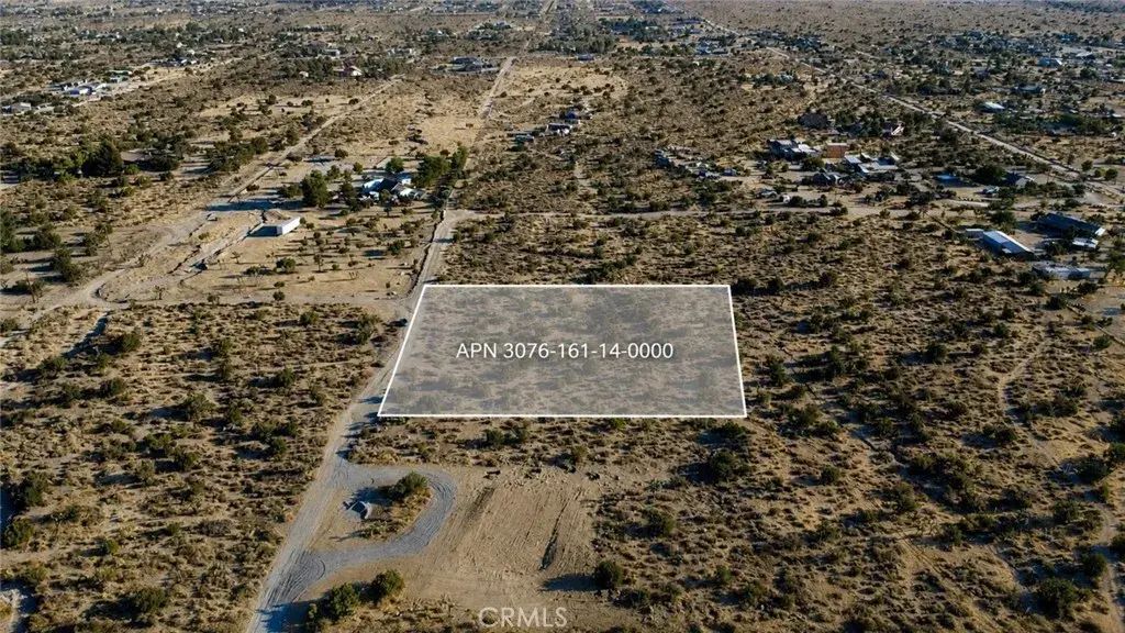1 Pine Tree, Pinon Hills