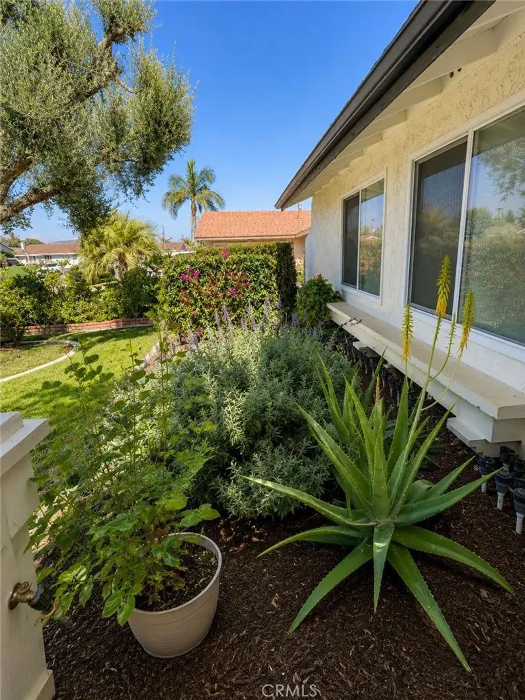 718 Alcott Avenue, Placentia