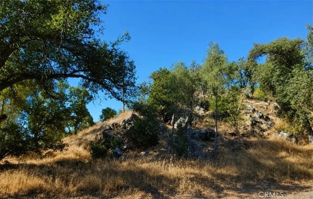 3695 Spring Valley Rd, Clearlake Oaks