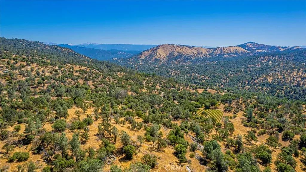 49610 House Ranch, O'neals