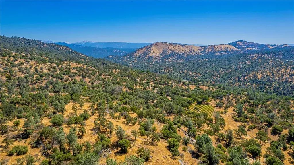 49610 House Ranch, O'neals
