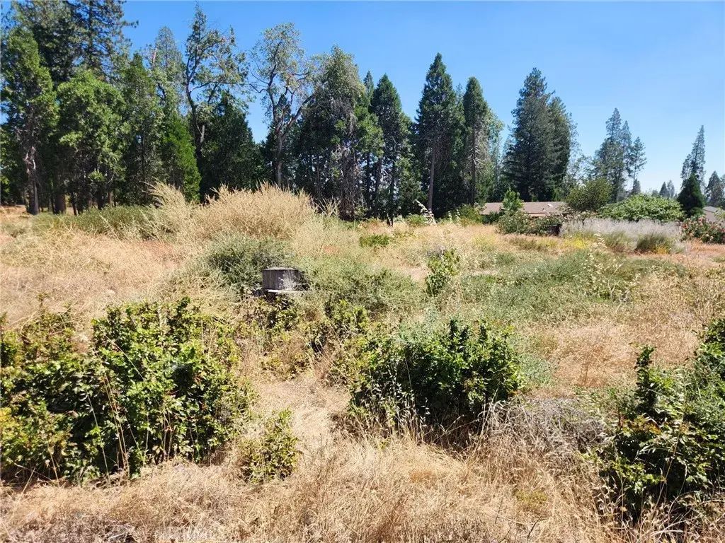 13744 W Park, Magalia
