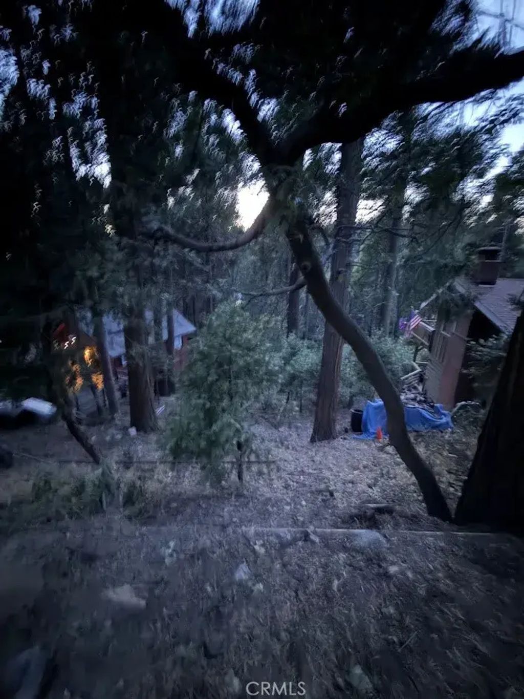 Crest Forest, Crestline