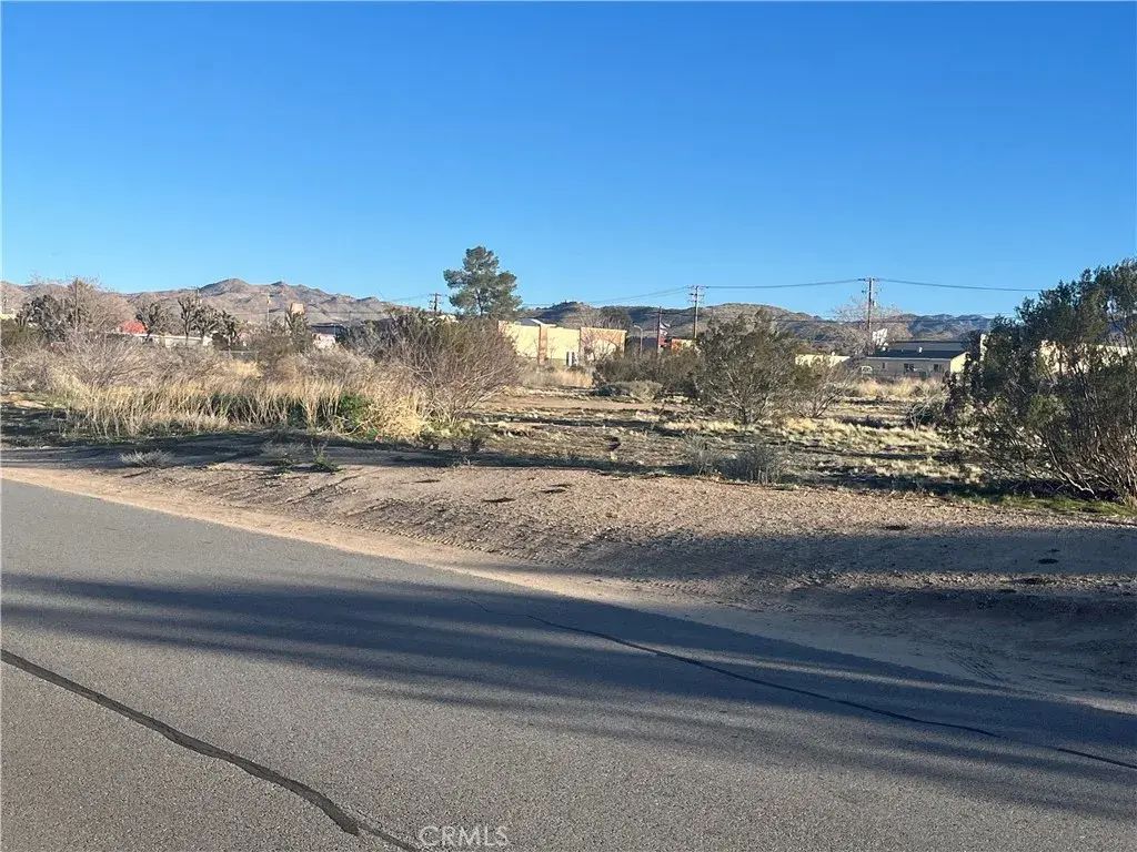Antelope, Yucca Valley