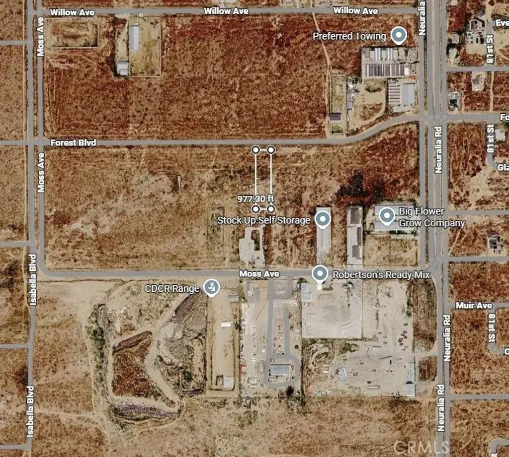 Forest, California City