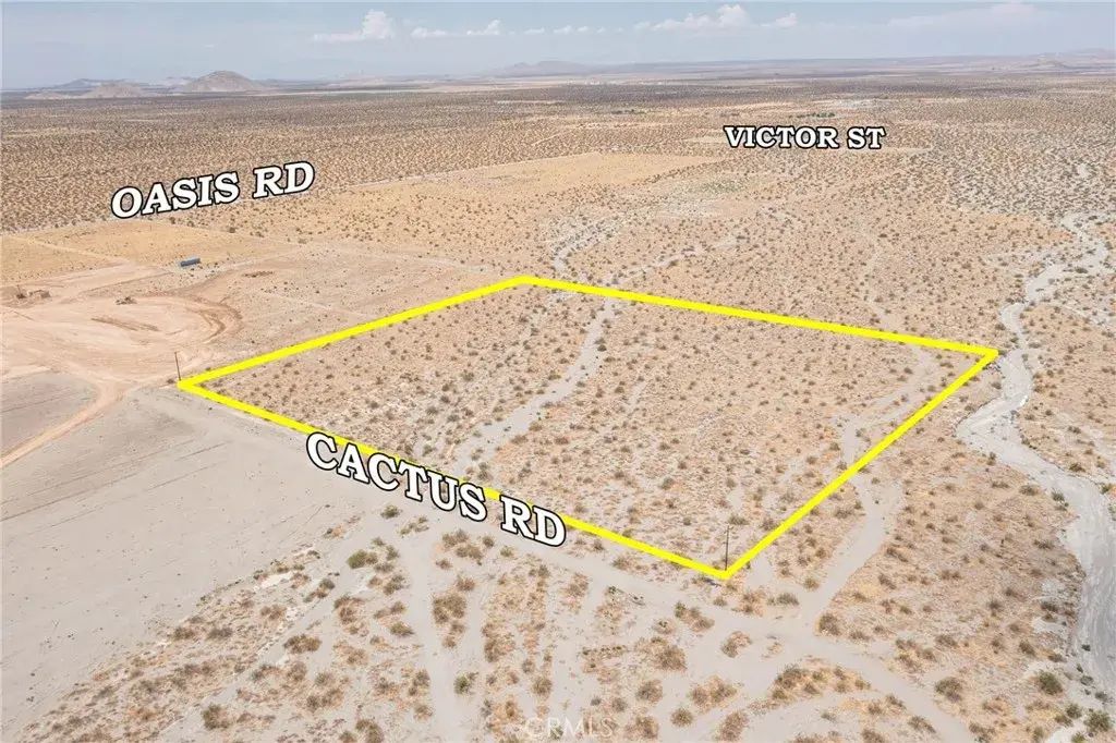 31001215 Cactus, Pinon Hills