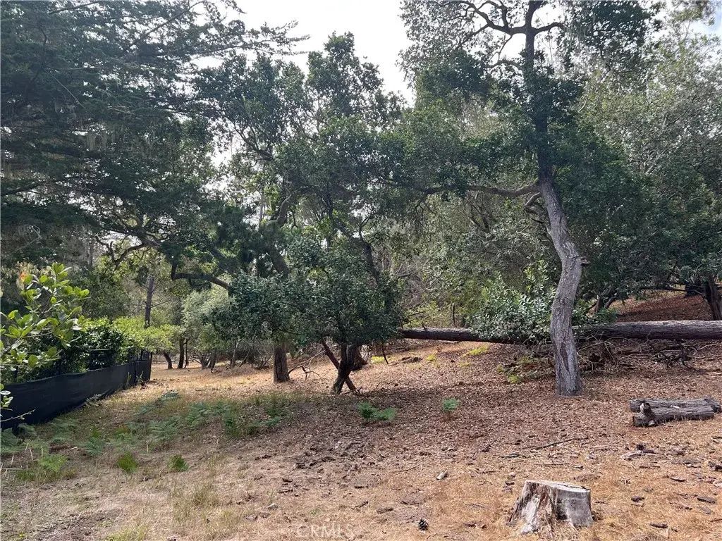 1280 Warren, Cambria