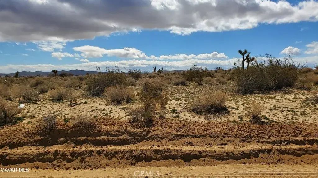 Reed Ave, Mojave