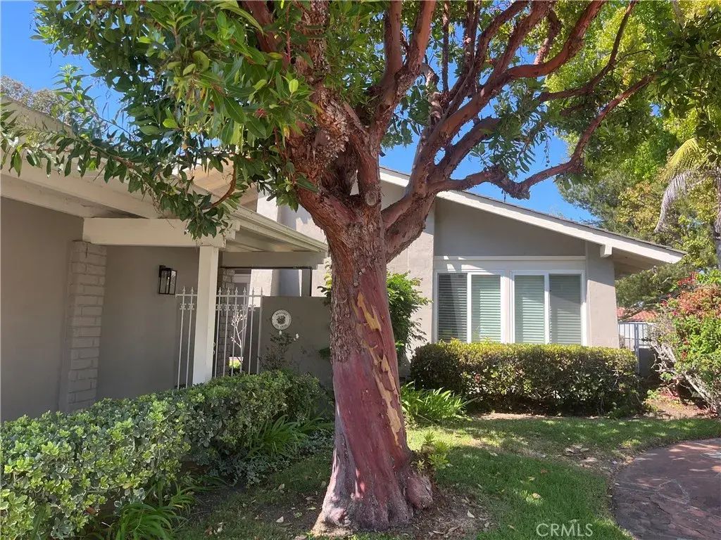 424 Onda, Newport Beach