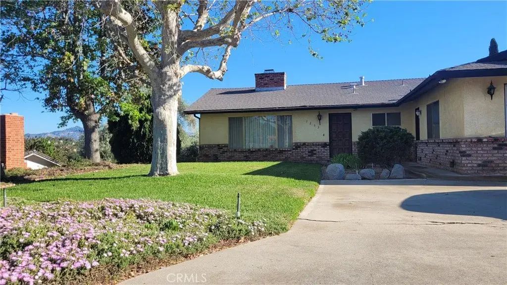 1253 Cain, Escondido