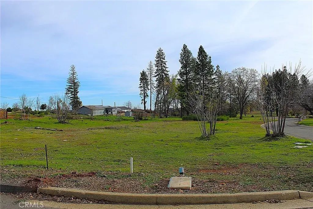 Summerwood, Paradise