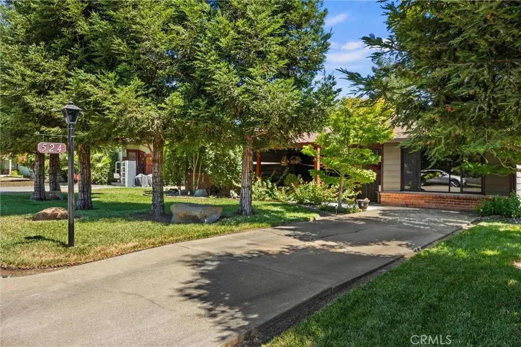524 Adams, Willows
