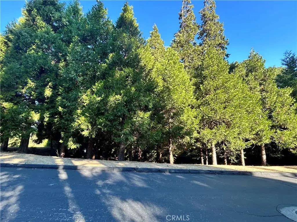 28980 White Dove, Lake Arrowhead