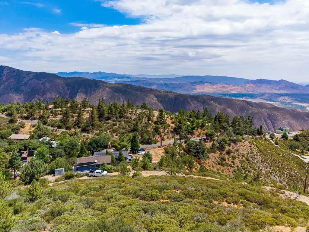 Manzanita, Julian