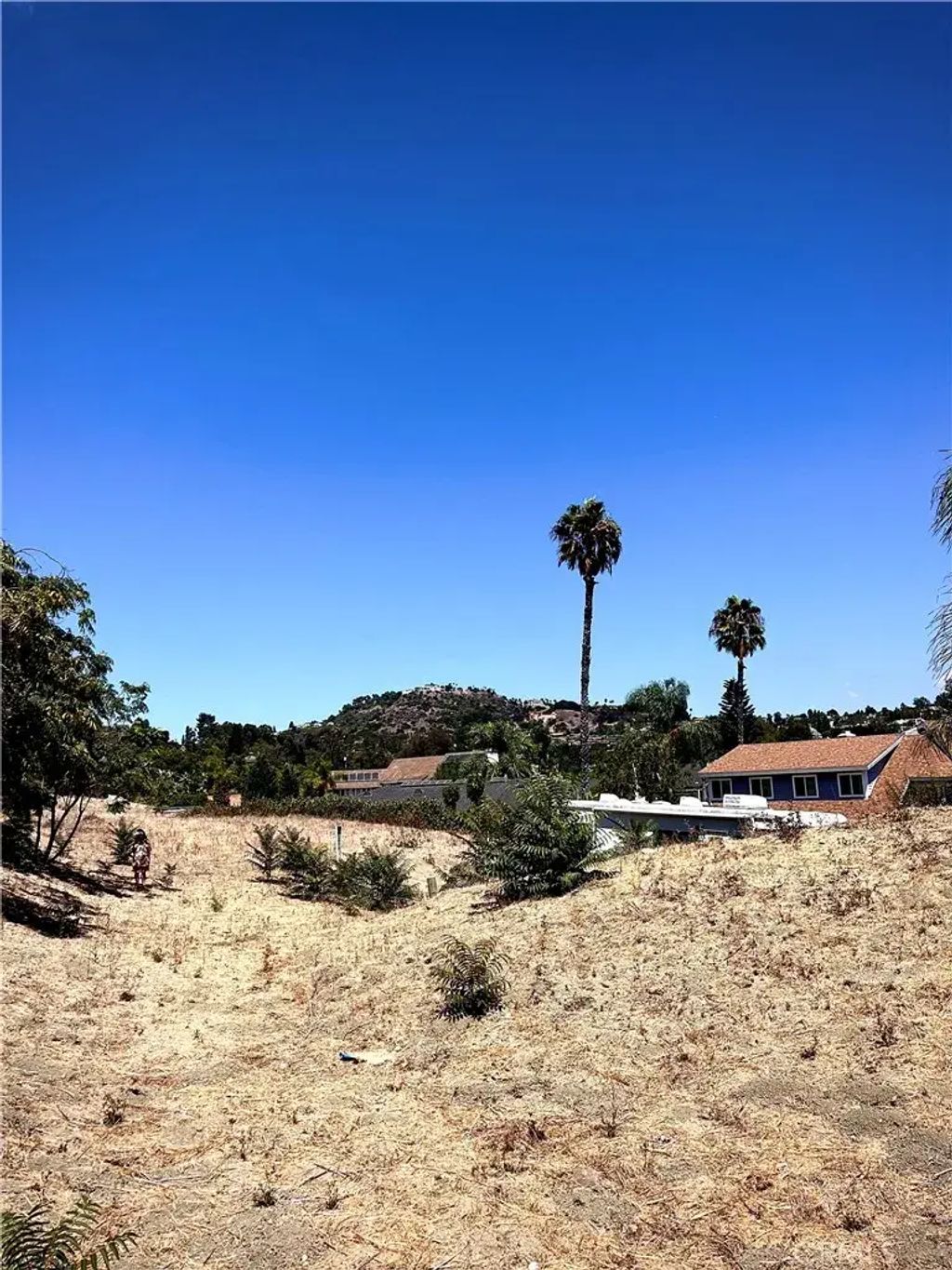 19382 Lemon, Santa Ana