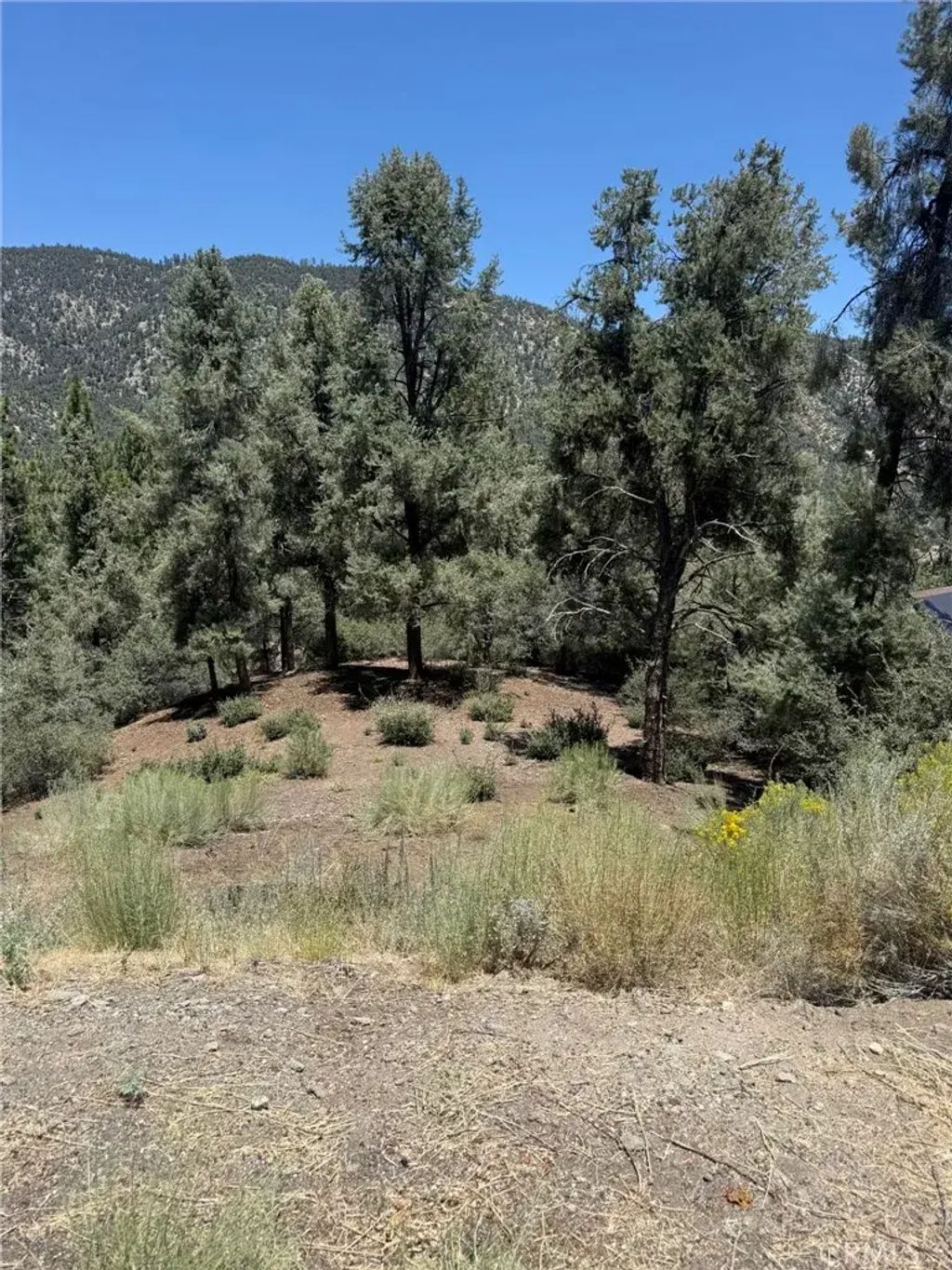 2424 Cedarwood, Pine Mountain Club