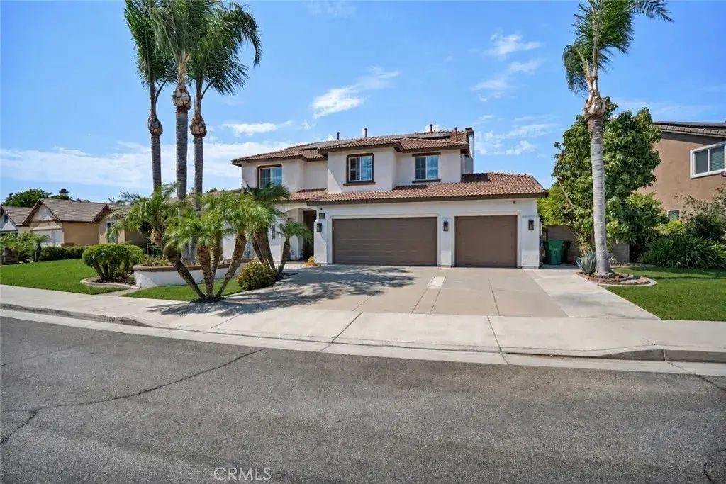 13692 Sandhill Crane, Corona